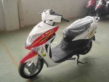 Electric Scooter (Tdl-11zg)