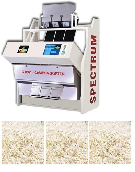 Rice Sorting Machines