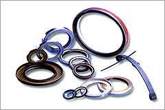 PTFE Seals (Ptfe)