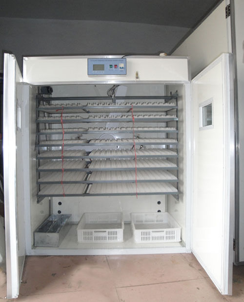 Incubator For Chicken Eggs Yzite-15