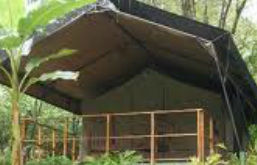 Jungle Safari Tent