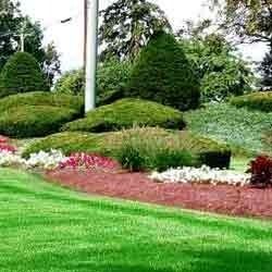 Techno Landscaping Services