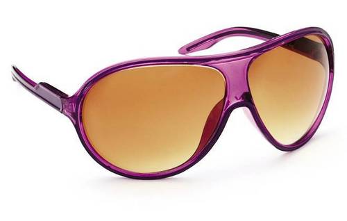 Sunglasses 6171