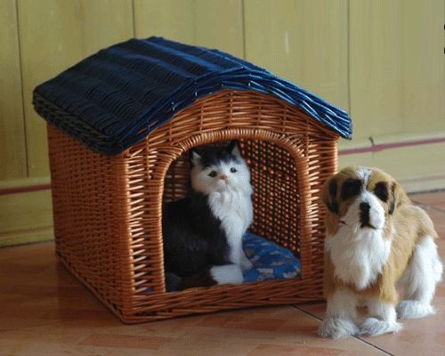 pet basket