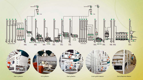 Coffee Processing Plant