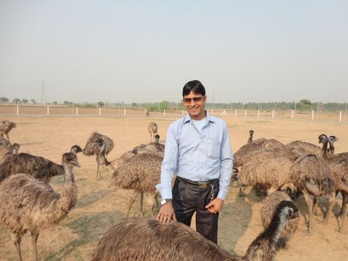 Mass EMU Farm Service