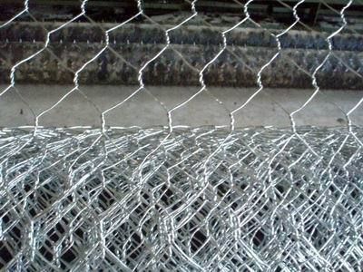 Hexagonal Wire Mesh