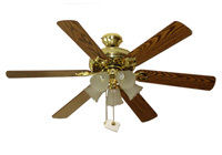 Decorative Ceiling Fan