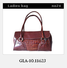 Stylish Leather Bag