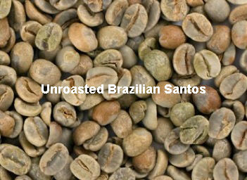  बिना भुना हुआ ब्राज़ीलियाई सैंटोस कॉफ़ी बीन्स