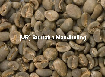Unroasted Sumatra Mandheling Organic Coffee