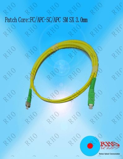 Single Mode FC to SC Fiber Optic Patch Cord