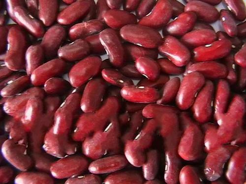 Dark Red Kidney Bean