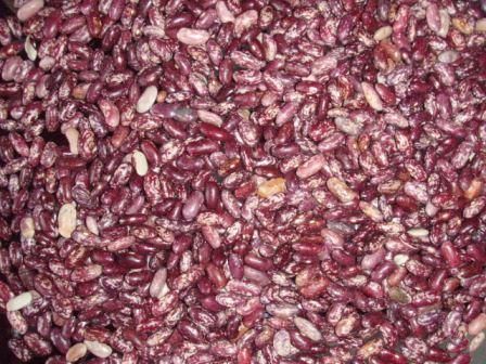 Purple Speckled Kidney Bean