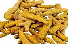 Dry Turmeric Finger 