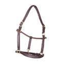 Leather Horse Head Collar