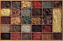 Food Spices - Premium Quality Packaged Varieties | Unique Aroma, Delectable Taste, Ideal for Indian and International Cuisines