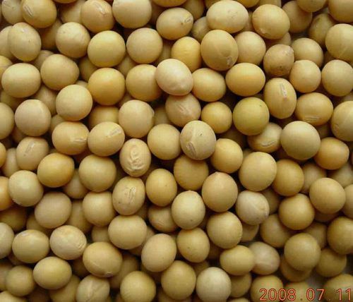 Soybean Isoflavones