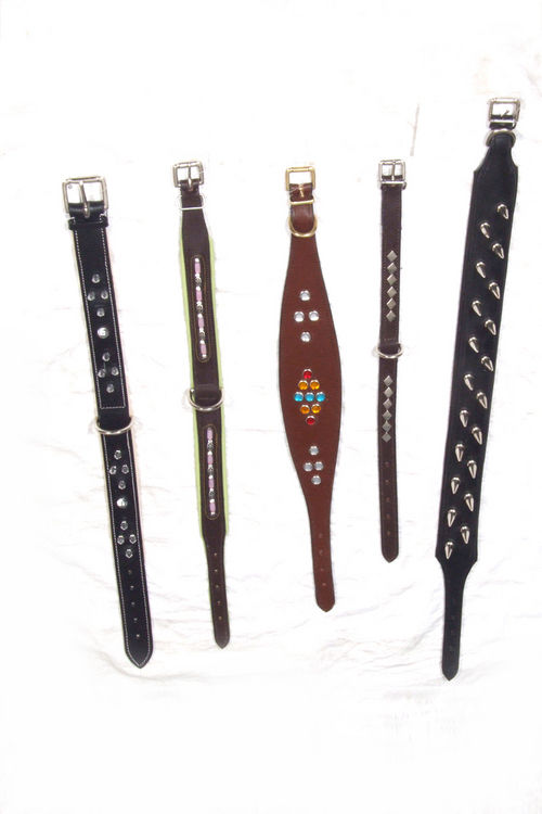 Leather Whippet Dog Collar With Different Fitting And Studds On Top