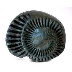 Shri Shaligram Ji Shila (Chakra Wali)