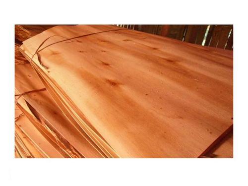 Eucalyptus Core Veneer