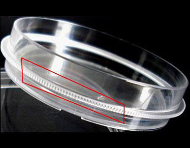 100mm Disposable Cell Culture Petri Dish With Easy-Grip Brim