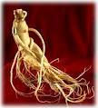 Ginseng - Premium Quality Herbal Extract | Stress Relief, Memory Enhancement, Energy Boost, Vitality Restoration, Illness Prevention, Infection Resistance