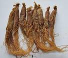 Korean Red Ginseng Roots