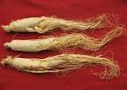 White Ginseng Roots