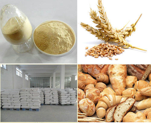 Bread Wheat Protein
