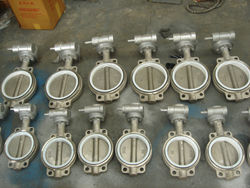 Concentric Soft Seated Butterfly Valve