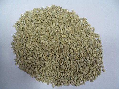 Sunflower Kernels - High-Quality, Sustainable Sunflower Seeds | Durable, Market-Leading Excellence