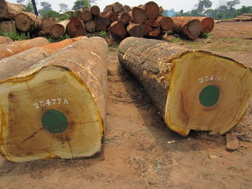 Iroko Logs