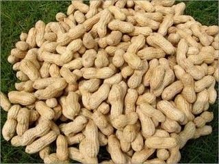 Inshell Peanut