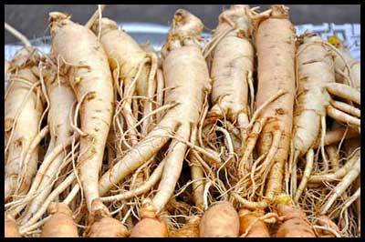 Ashwagandha Dry Roots