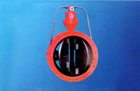 Micro Resistance Butterfly Check Valve