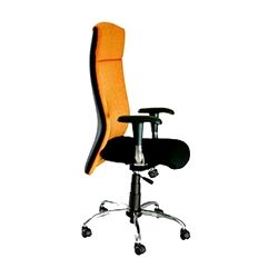 Bosch Executive Low Back Revolving Adjustment Arms Chair