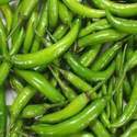 Green Chilli