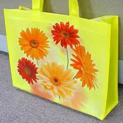 Non Woven Laminated Bag