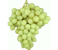 Superior Seedless White Grapes