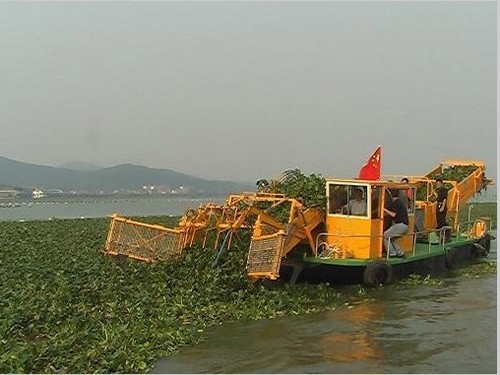 Weed Harvester