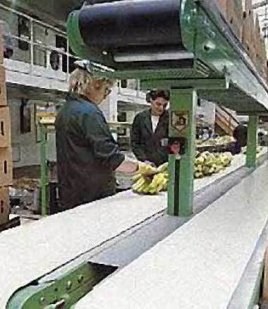 Hygienic Conveyor Belts