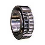 Twin Row Cylindrical Roller Bearing