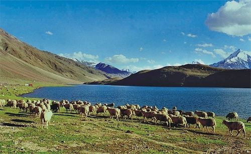 Spiti Valley Tour Service