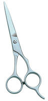 Barber Scissor (B-0030)