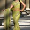 Net Green Saree