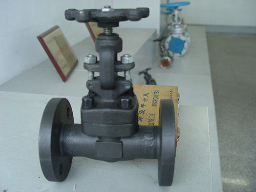 Forged Steel Gate Valve