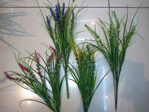 5h Grass Bunch Plant