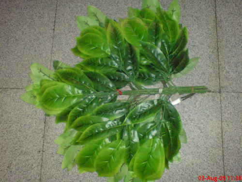 Green Mango Leaf Spray