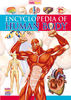 Human Body Book